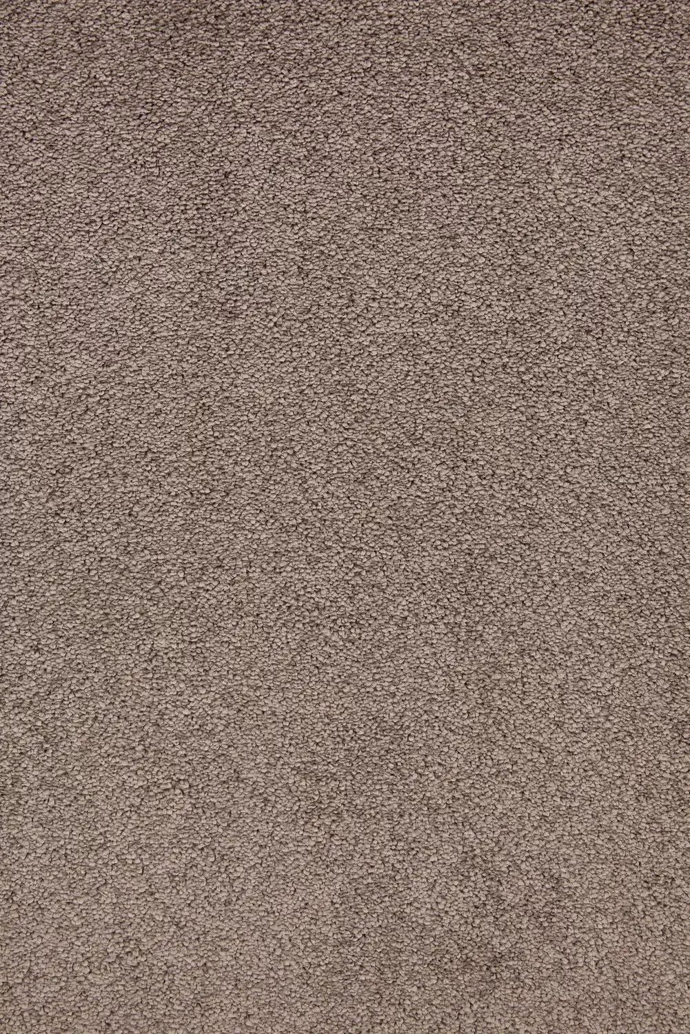 Mocheta maro Balta ITC Lily WFB 047 - imagine 2